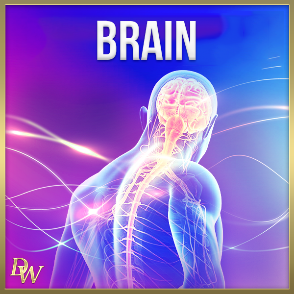 Brain Higher Quantum Frequencies