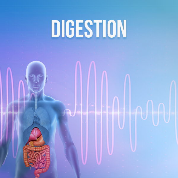 Digestion Rife Frequencies