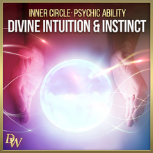 Load image into Gallery viewer, Divine Intuition &amp; Instinct | Higher Quantum Frequencies
