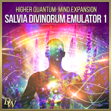 Cargar imagen en el visor de la galería, Mind Expansion Collection Higher Quantum Frequencies
