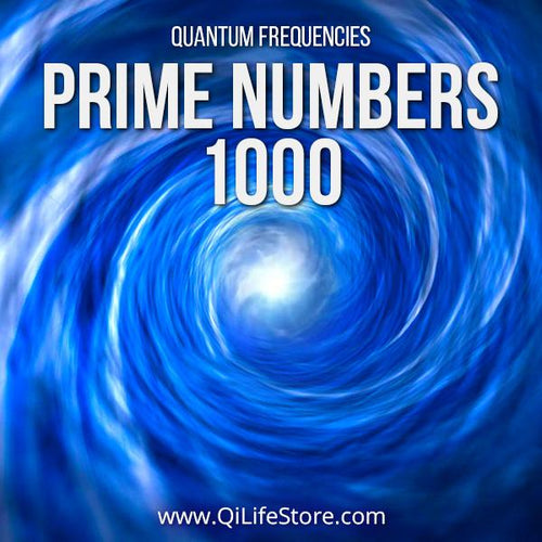 Prime Numbers Time Travel Vortex 1000 Quantum Frequencies