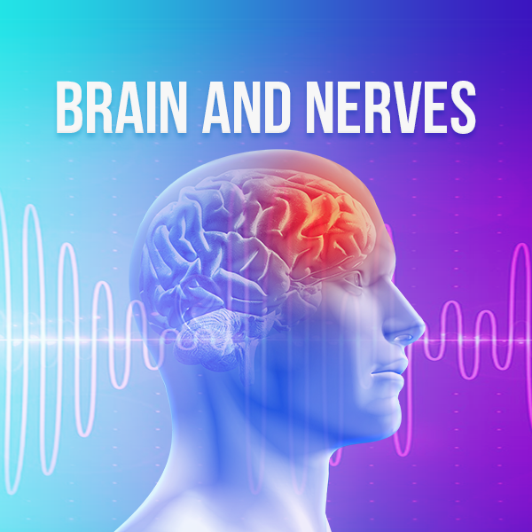 Brain & Nerves Rife Frequencies
