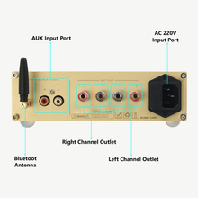 Загрузить изображение в средство просмотра галереи, Resonant Power Kit (For Lifereboot Aura Coil Systems)
